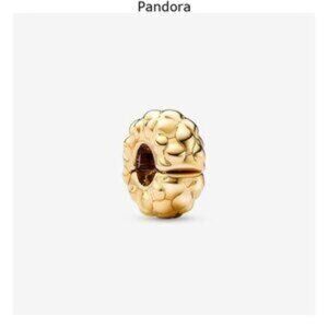 Pandora Studded Clip Charm